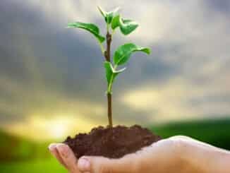 o-dia-da-ecologia-deve-ser-para-conscienticazao-de-todos