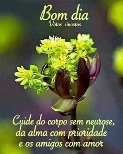 Mensagem de bom dia para enviar por whatsapp! Não fique sem mandar.