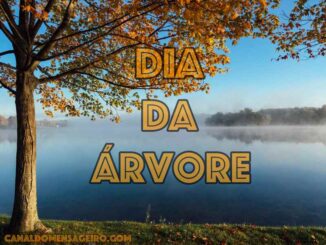 dia-da-arvore