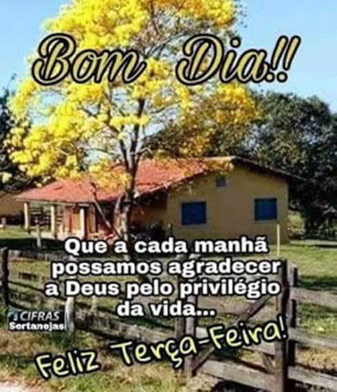 frases-de-terça