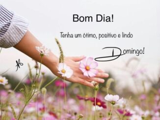Frases-de-bom-domingo