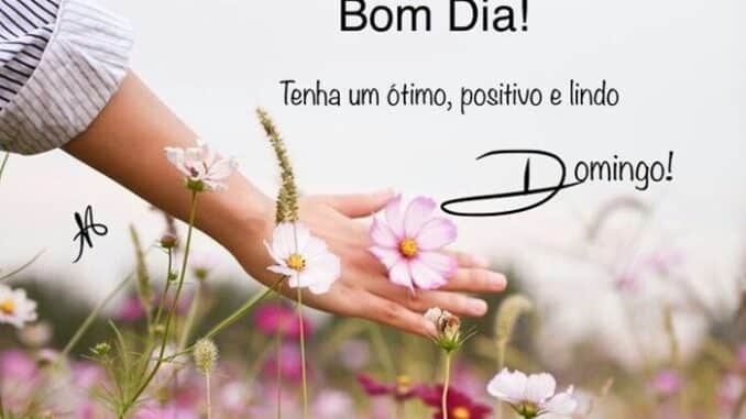 Frases-de-bom-domingo