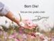 Frases-de-bom-domingo