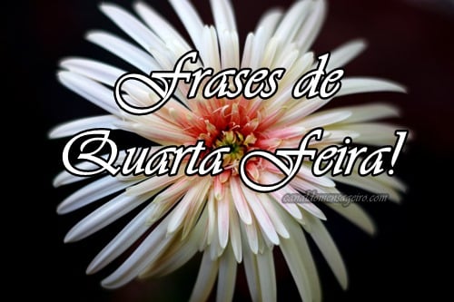 Frases-de-quarta-feira