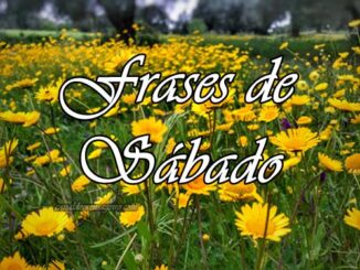 frases-de-sabado