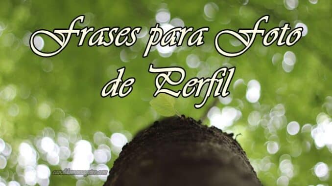 frases-para-foto-de-perfil