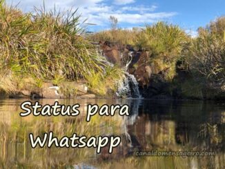 status-para-whatsapp