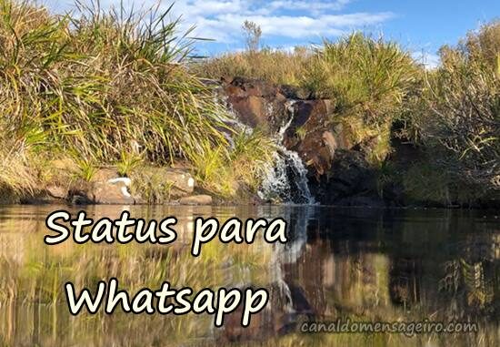 status-para-whatsapp