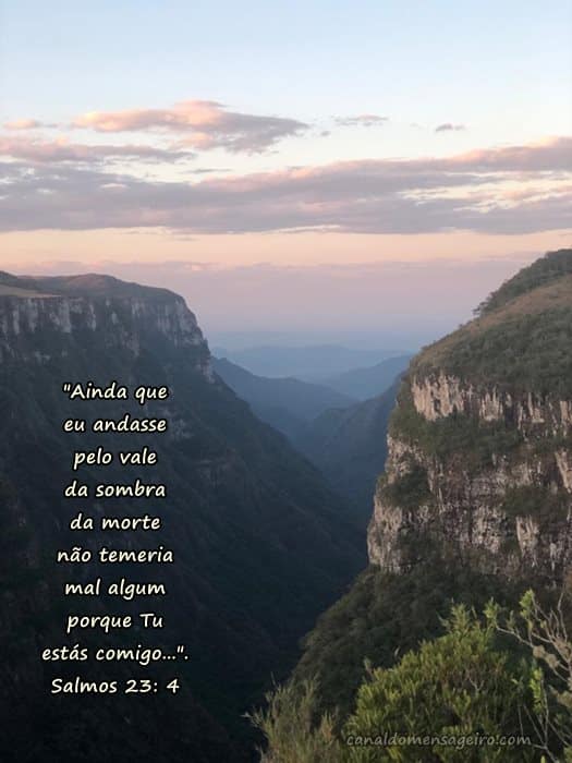 status-para-whatsapp