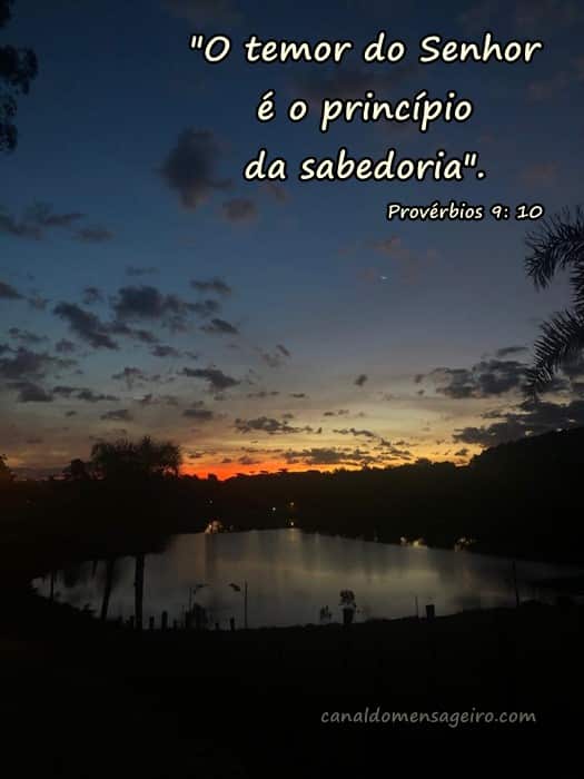 status-para-whatsapp