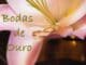 bodas-de-ouro