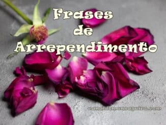 frases-de-arrependimento