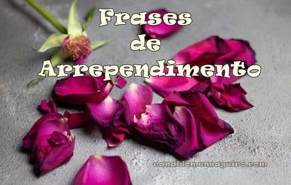 frases-de-arrependimento