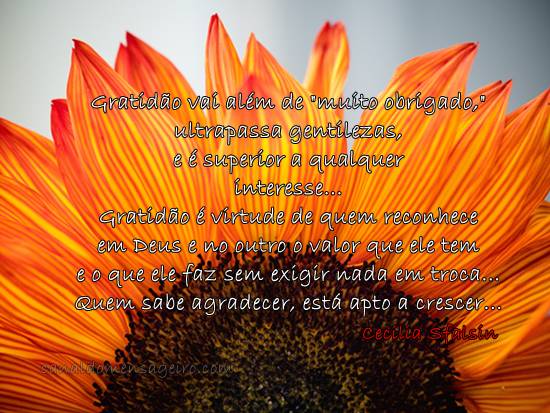 frases-de-gratidao
