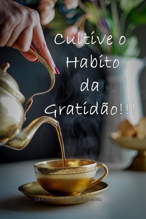 cultive-o-habito-da-gratidao
