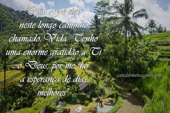 guia-os-meus-caminhos