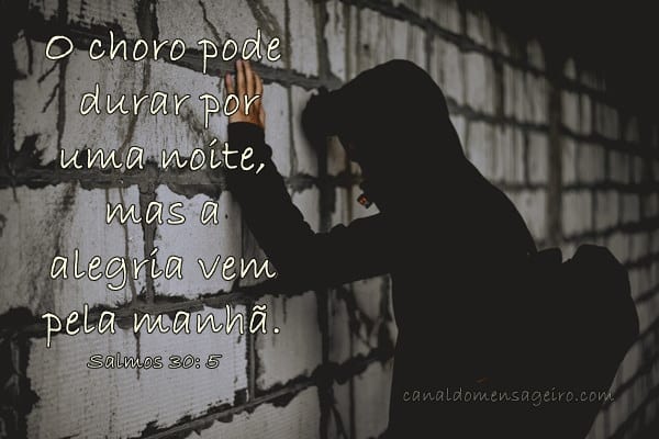 a-alegria-vem-pela-manha