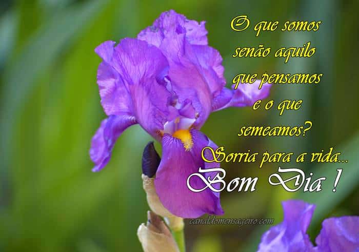 somos-o-que-pensamos