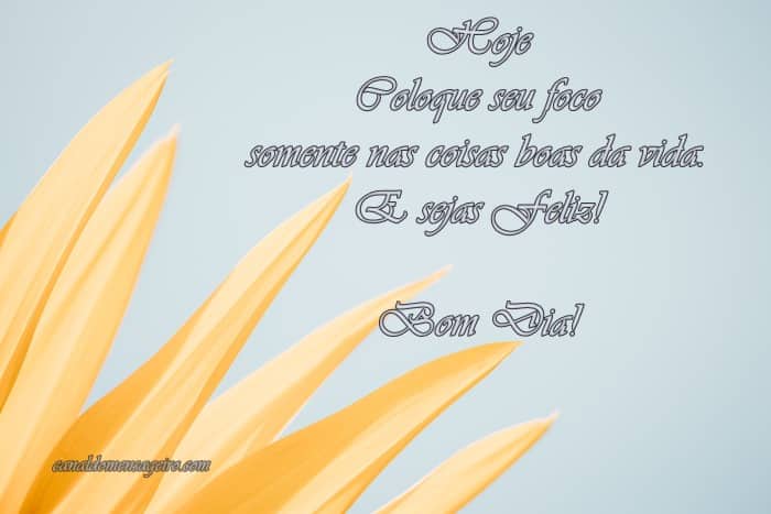 foco-nas-coisas-boas