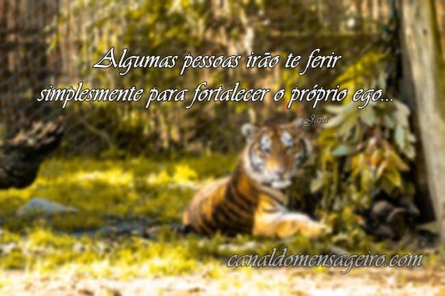 superar-o-proprio-ego