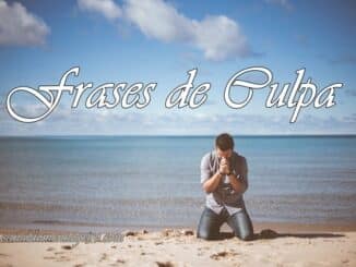 frases-de-culpa