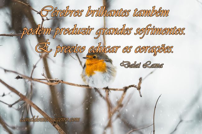e-preciso-educar-os-coracoes