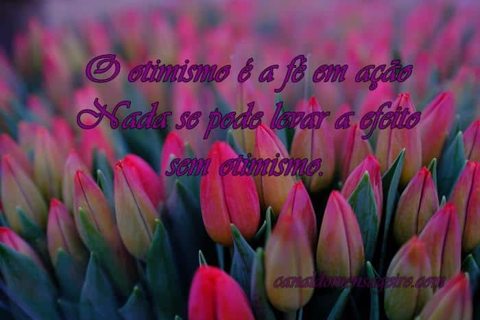 o-otimismo-e-a-fe-em-acao
