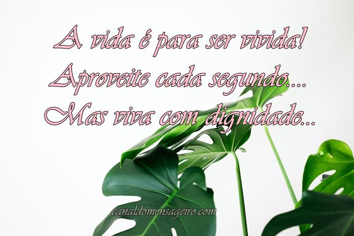 aproveite-cada-segundo