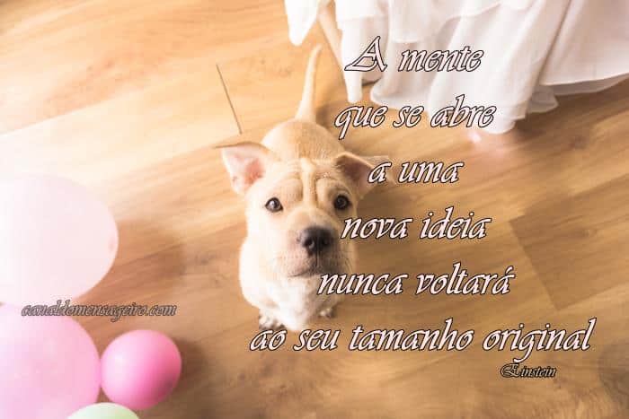 a-mente-se-abre