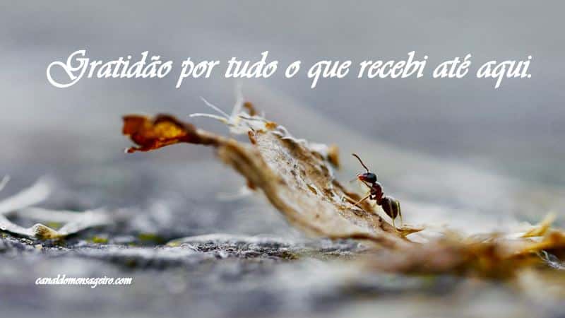 aagradeco-pelo-que-recebi