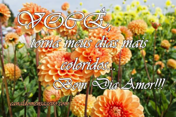 bomdia-meus-dias-coloridos