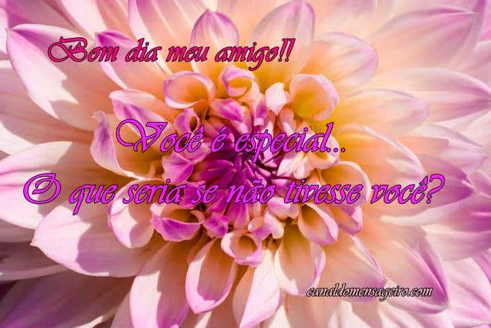 bomdia-voce-e-especial