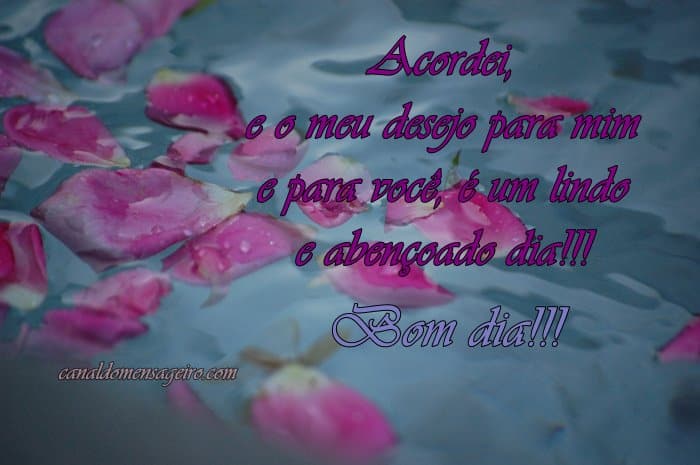 bomdia-acordei