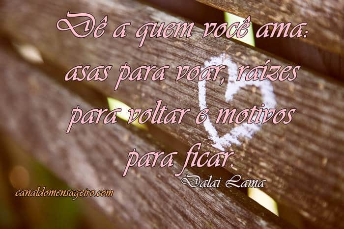 amor-de-asas-para-voar