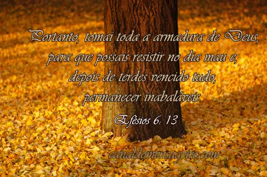 versiculos-biblicos-para-bodas-de-ouro-inabalaveis