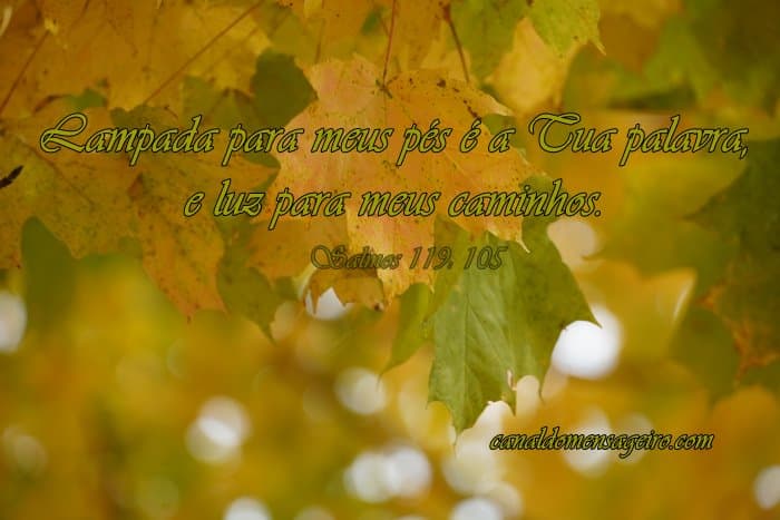 versiculos-biblicos-para-bodas-de-ouro-lampada-para-meus-pes