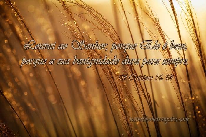 versiculos-biblicos-para-bodas-de-ouro-louvai-ao-senhor
