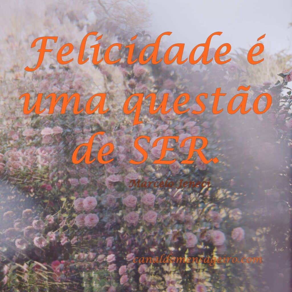 frase-pequena-felicidade