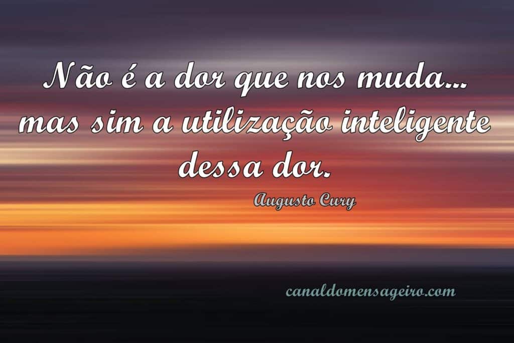 frase-pequena-utilizacao-inteligente-dor