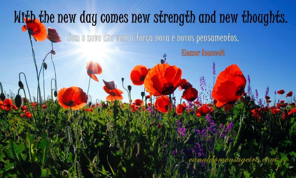 novo-dia-novos-pensamentos