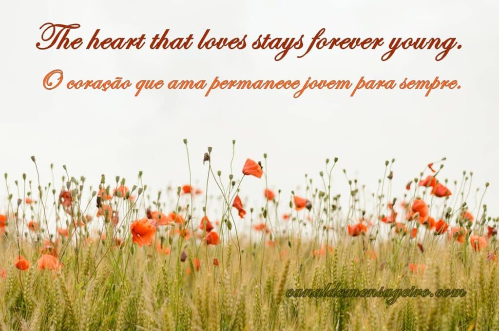 coracao-que-ama