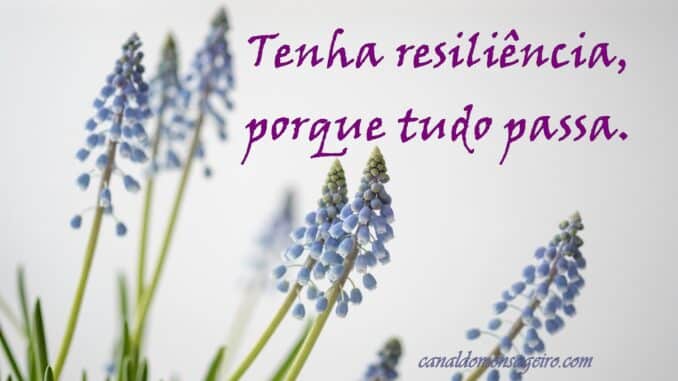 frases-de-resiliencia