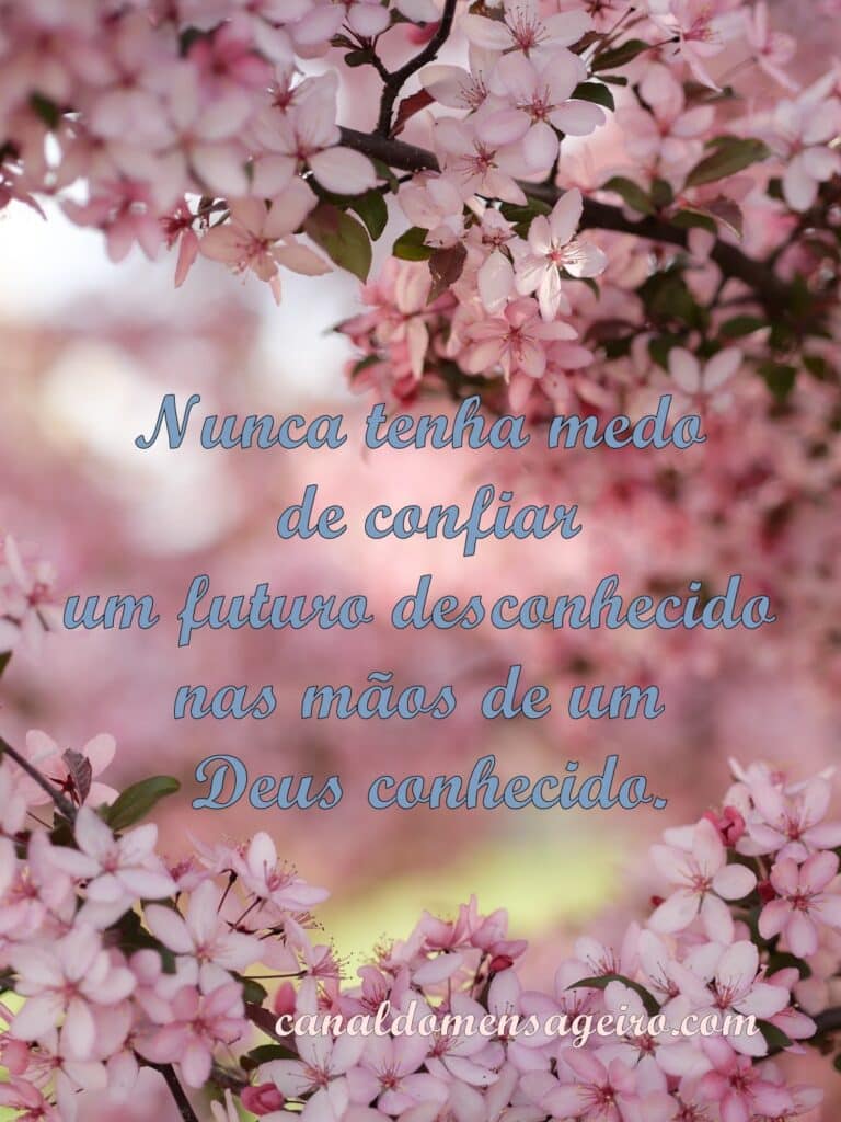 nunca-tenha-medo-de-confiar