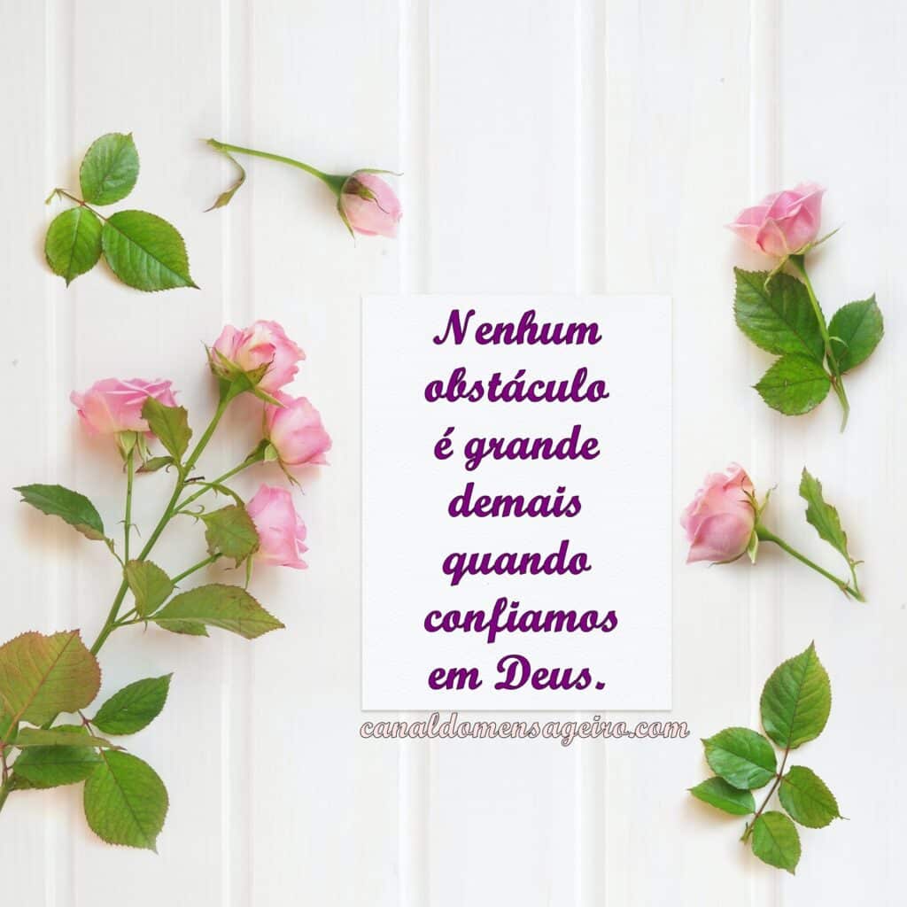 nenhum-obstaculo-e-grande