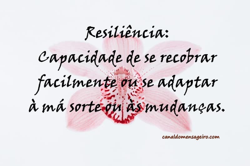resiliencia-mudanca