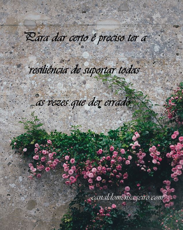 suportar-as-vezes-que-der-errado