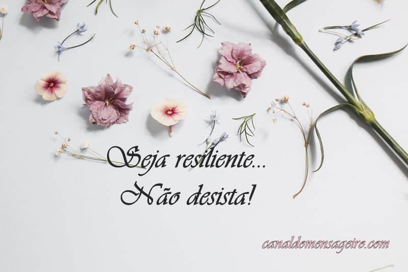 mensagens-de-resiliencia