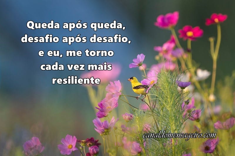 desafio-apos-desafio