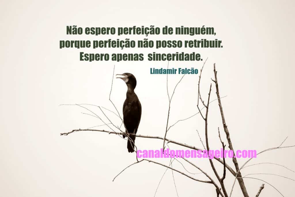 palavras-sinceras