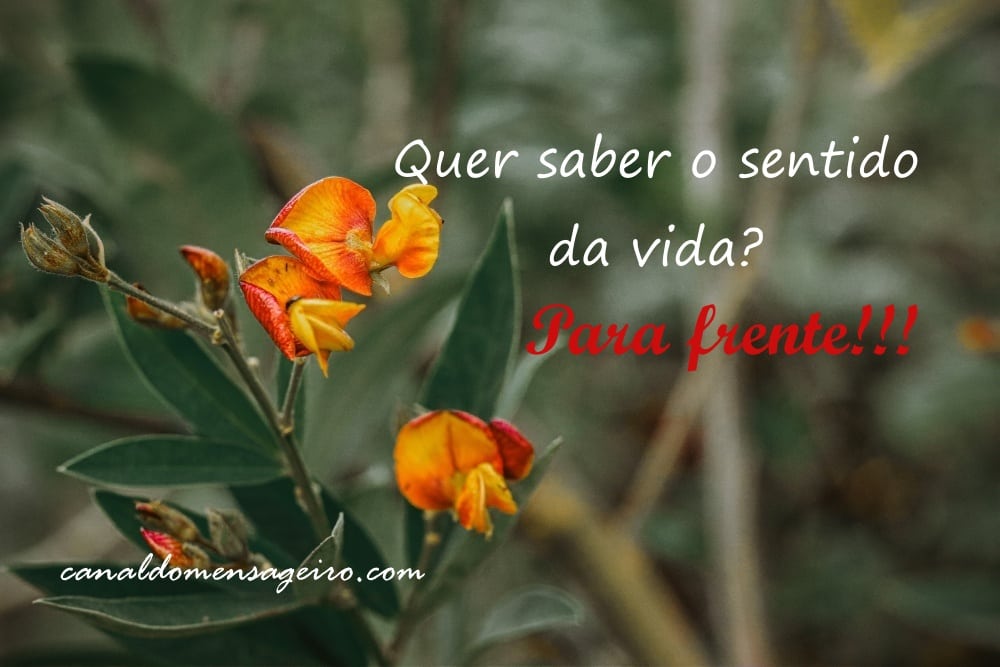 frases-alegres